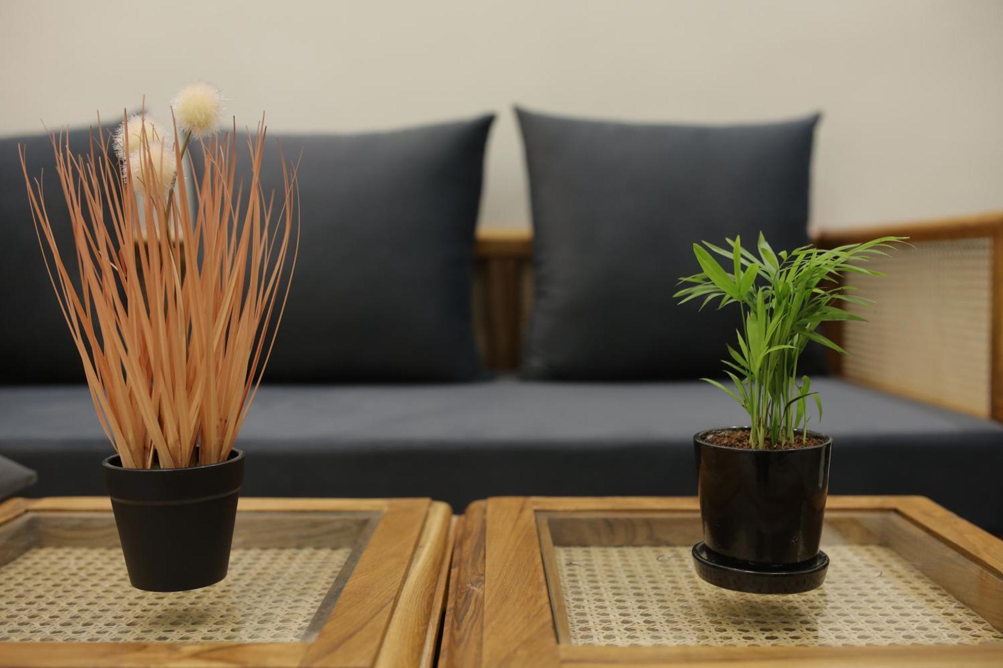 Narayana Homes Mathura Eksteriør billede